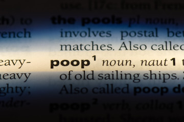 poop