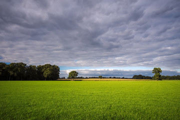 The lush green fields on a cloudy summer afternoon near the small town of Delden, in the province of Overijssel in the Eastern part of the Netherlands. It lies near the border with Germany.