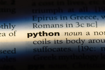python