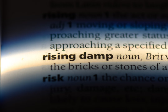 Rising Damp