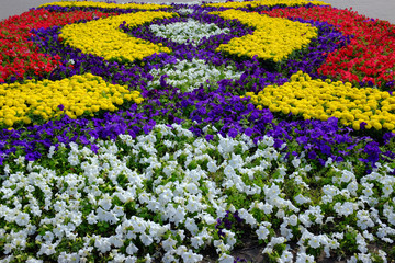 City exhibition of floriculture