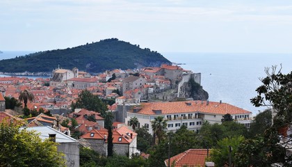 Duborownik Chorwacja © Urszula