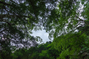 乗鞍高原　三本滝