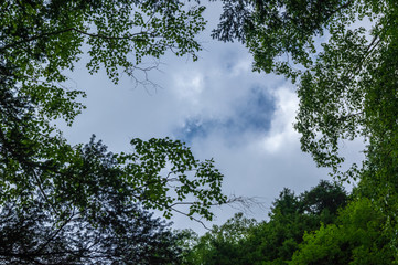 乗鞍高原　三本滝