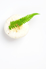 White mushroom with fern leaf, top view.