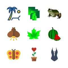 tropical icons set. biology, bright, colorful and vegetarian graphic works