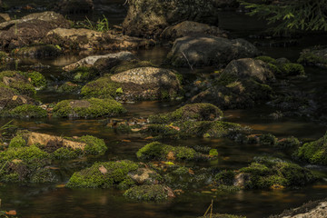 Rolava river in summer hot day in west Bohemia