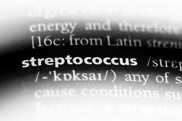streptococcus