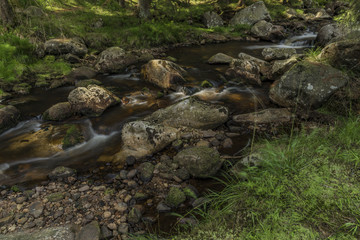 Rolava river in summer hot sunny day