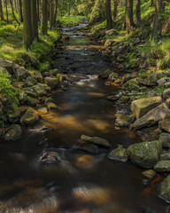 Rolava river in summer hot sunny day