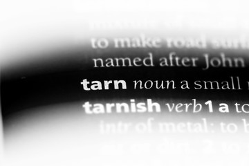 tarn