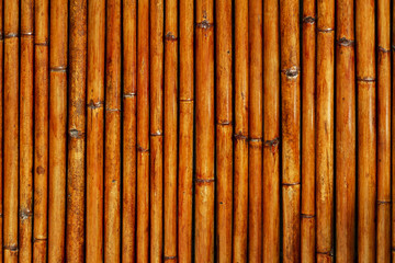 Bamboo pattern for background