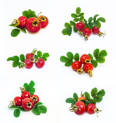 Fresh Rose Hips with leaves. Giant Berries hips on white background. A set of photos, rose hip berry in different angles.