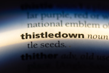 thistledown