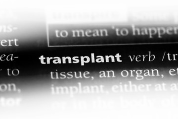 transplant