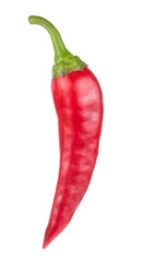 One Red hot chili pepper isolated on white background