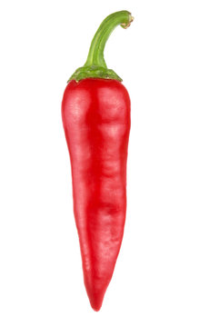 One Red hot chili pepper isolated on white background