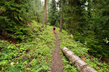 Treking in the mountains of the Borjomi-Kharagauli National Park in Lesser Caucasus. Borjomi, Georgia.