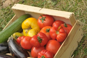Le cageot de légumes 
