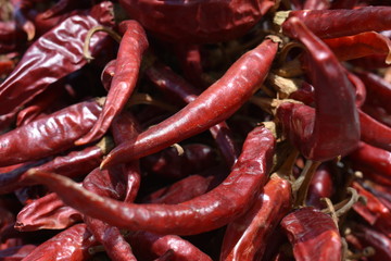 Dried Chili Peppers