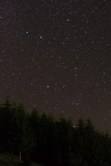Fototapeta na wymiar Simple stars above pines; Bicaz Gorge area, Romania