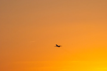 Fototapeta na wymiar airplane flying in the sunset