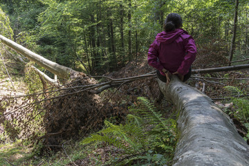 Beautiful girl in the mountains. An incredible view of the Troyan Balkan. The mountain captivates with its beauty, fresh air, a sense of infinity, coziness and tranquility.