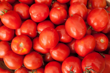 Red tomato background.