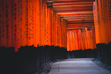 Fushimi Inari Taisha Shrine is the head shrine of Inari including trails up the mountain, Thousands...