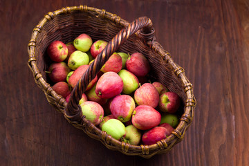 basket full of fresh harvest of sweet ripe garden apples