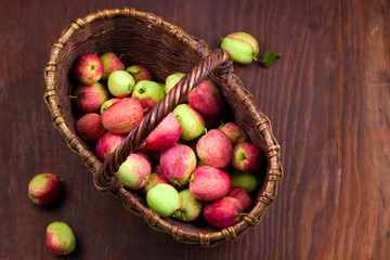 basket full of fresh harvest of sweet ripe garden apples