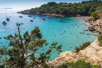 Fototapeta na wymiar Saladeta beach in Ibiza