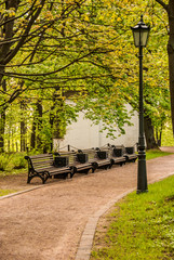 Several park benches along the road with a lantern