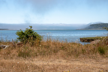 scenic, foggy, view across a cove towards the pacific ocean in northern coastal oregon in the pacific northwest usa