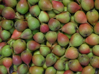 Lots of little pears