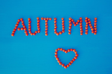 Text of AUTUMN is executed on a wooden table with berries of mountain ash.