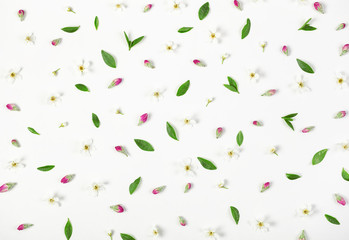 Floral pattern made of spring flowers, pink buds and leaves isolated on white background. Flat lay. Top view.