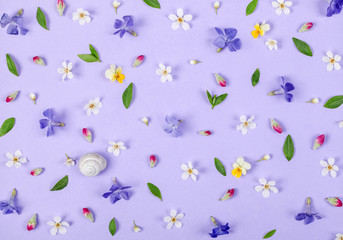 Floral pattern made of spring white and violet flowers, green leaves, pink buds and snail shell on pastel lilac background. Flat lay. Top view.