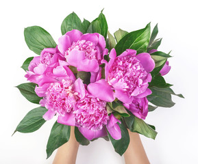 Bouquet of pink peony flowers in woman's hand isolated on white background. Top view. Flat lay.