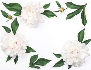 Frame of white peony flowers and leaves isolated on white background. Top view. Flat lay. © lsvsvl