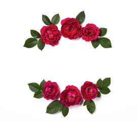 Floral frame wreath made of pink rose flowers and leaves isolated on white background. Flat lay. Top view.