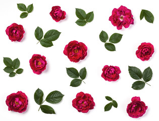 Floral pattern made of pink rose flowers and green leaves isolated on white background. Flat lay. Top view.