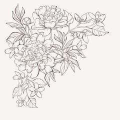Blossoming peony flowers on white with wildflowers. Vector illustration. Perfect for background greeting cards and invitations of the wedding, birthday, Valentine's Day, Mother's Day.