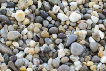 colorful pebbles on the beach in the summer morning