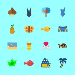 tropical icons set. detail, beautiful, vitamin and majestic graphic works