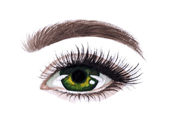 Woman eyes with long eyelashes. Hand drawn watercolor illustration. Eyelashes and eyebrows. Сoncept of eyelash extensions, microblading, mascara, beauty salon. Green eyes.