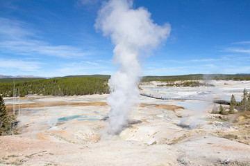 Norris geyser basin