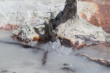 Fototapeta premium Norris geyser basin