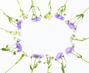 Floral frame made of violet aster flowers and field chamomile on white background. Top view with copy space. Flat lay.