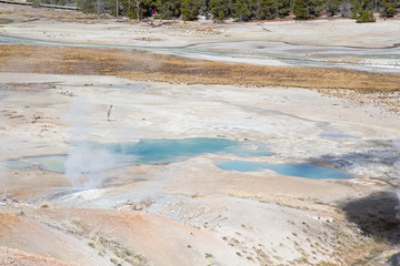 Norris geyser basin